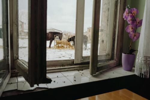 MARCIN URBANOWICZ, freelancer