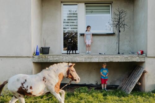 MARCIN URBANOWICZ, freelancer