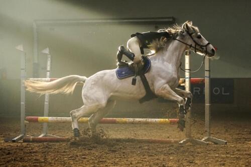 III miejsce w kategorii SPORT